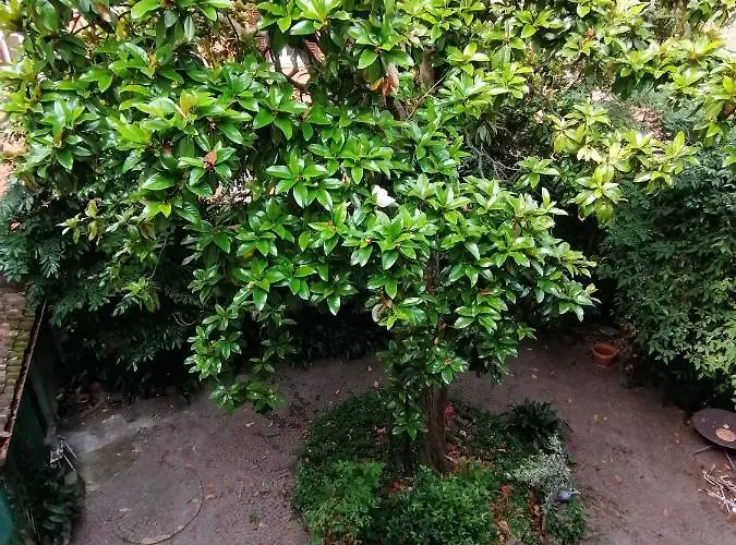 Romantica Mansarda Appartamento