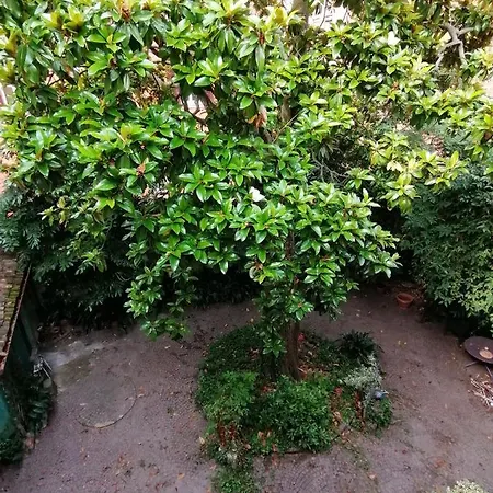 Romantica Mansarda Apartmán